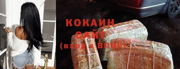 спайс Богданович