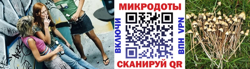 Псилоцибиновые грибы MAGIC MUSHROOMS  Новомичуринск 